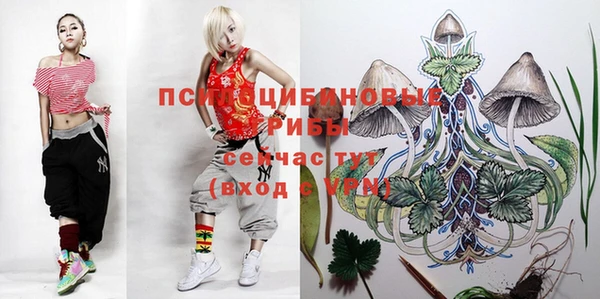 СК Абаза
