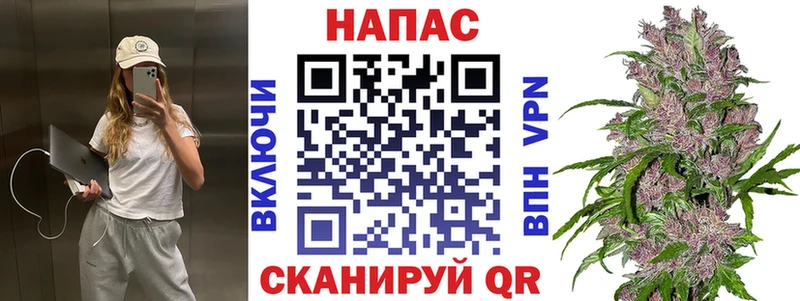 наркота  Новочеркасск  Канабис гибрид 